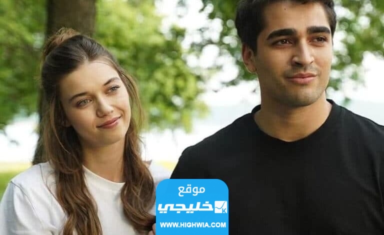 مشاهدة مسلسل طائر الرفراف فريد الحلقة 39