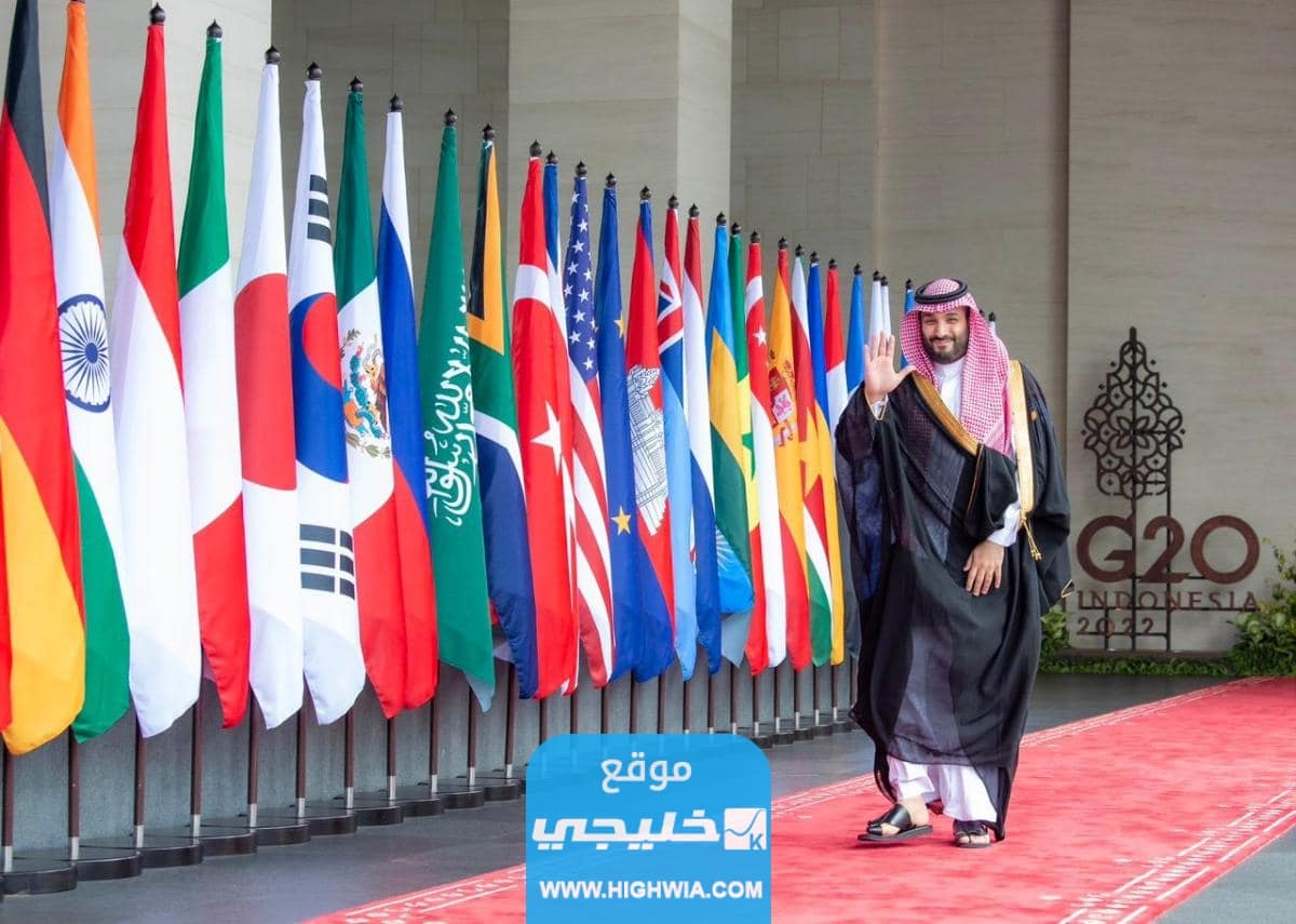 ولي العهد في قمة العشرين في الهند