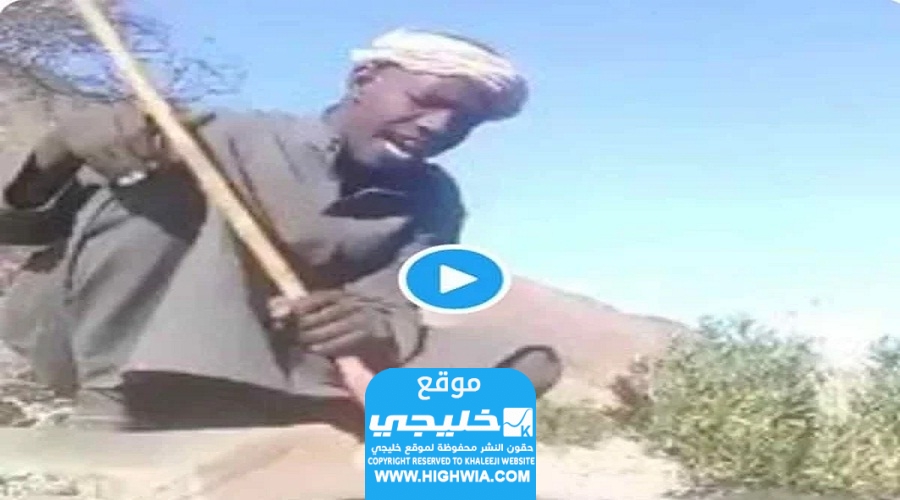 مقطع الذئب وراعي الغنم: رابط مشاهدة فيديو الذيب الشطرطون كامل بدقة عالية