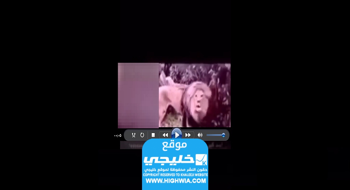 رابط مقطع الاسد كامل (غير أخلاقي) مشاهدة فيديو الاسد كامل بدون حذف