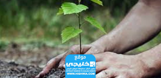 افكار ليوم التخضير في الكويت 2023 جديدة ومميزة