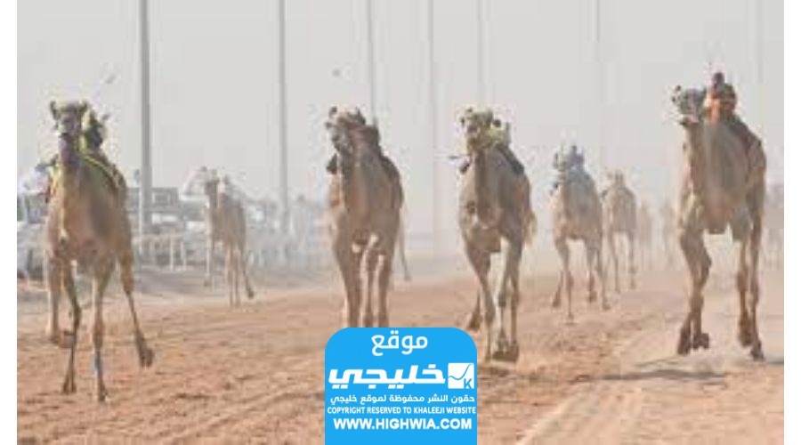 خطوات تسجيل دخول في الاتحاد السعودي للهجن