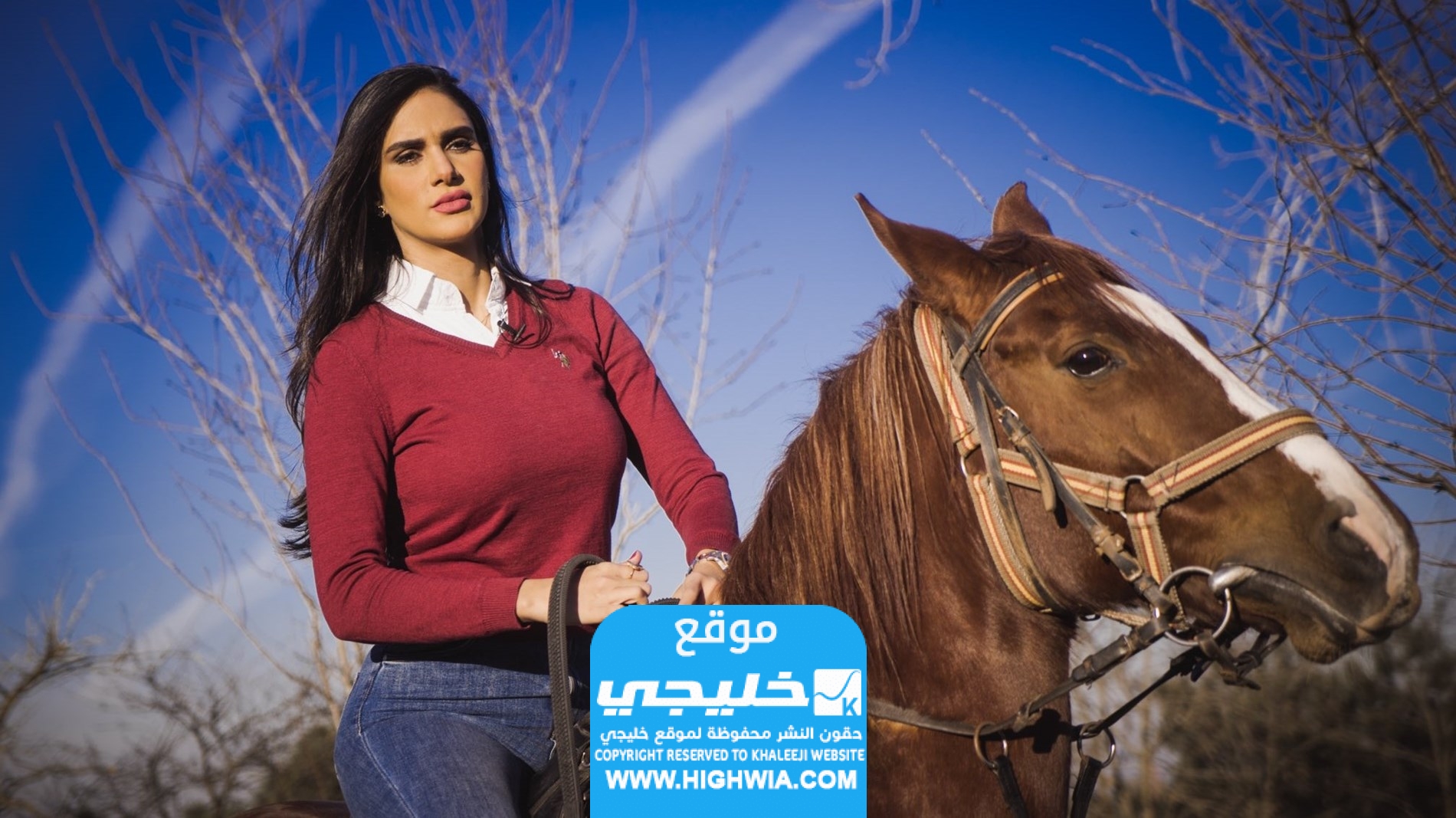 تويتر احلام العجارمه