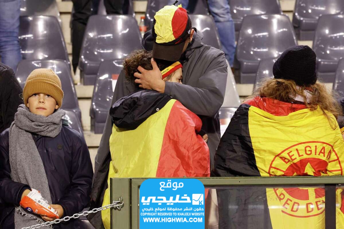 سبب إيقاف مباراة السويد وبلجيكا.