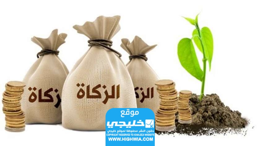 شروط الحصول على شهادة الزكاة