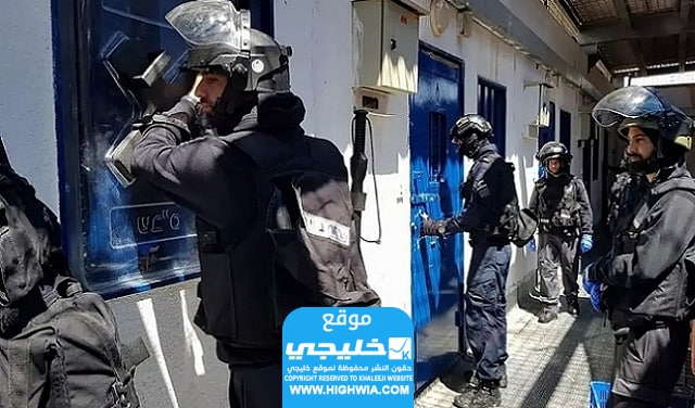 قصة استشهاد عمر دراغمه.