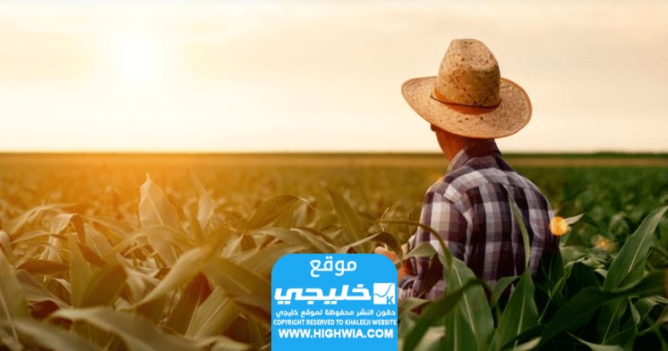 كم رسوم تأشيرة عامل زراعي في السعودية