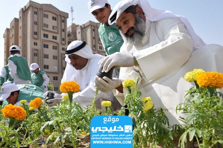 متى يوم التخضير في الكويت العد التنازلي