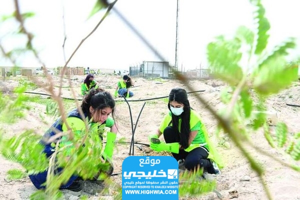 متى يوم التخضير في الكويت العد التنازلي