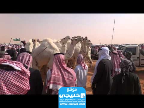 من هو خزام بن معيض الشيباني ويكيبيديا السيرة الذاتية