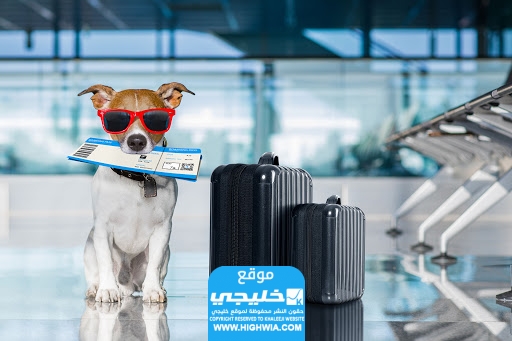 قيمة تكلفة شحن الحيوانات في السعودية
