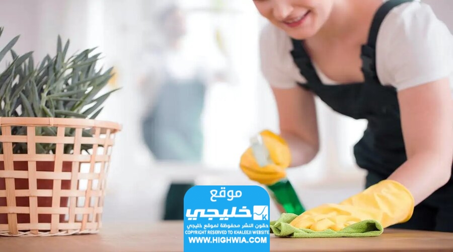 استخراج تأشيرة عاملة منزلية