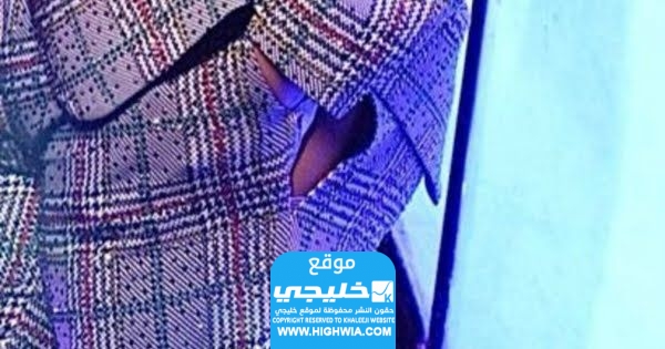 تمزق سروال إليسا في حفلها الأخير