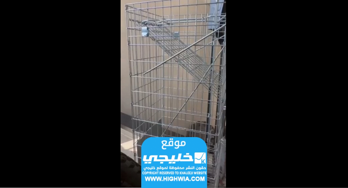 القبض على شخص قام بحرق قطة داخل قفص في الظهران