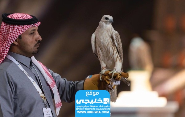 الفائز في مسابقة مزاين الصقور