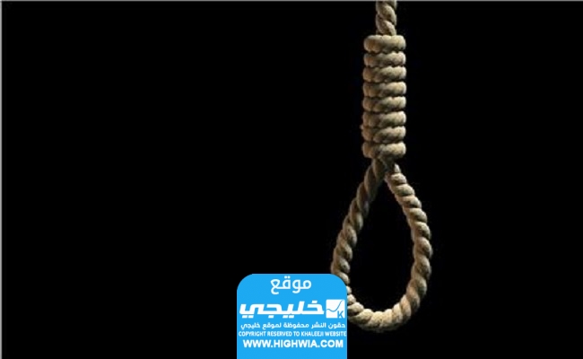 بندر محمد علي السلمي 