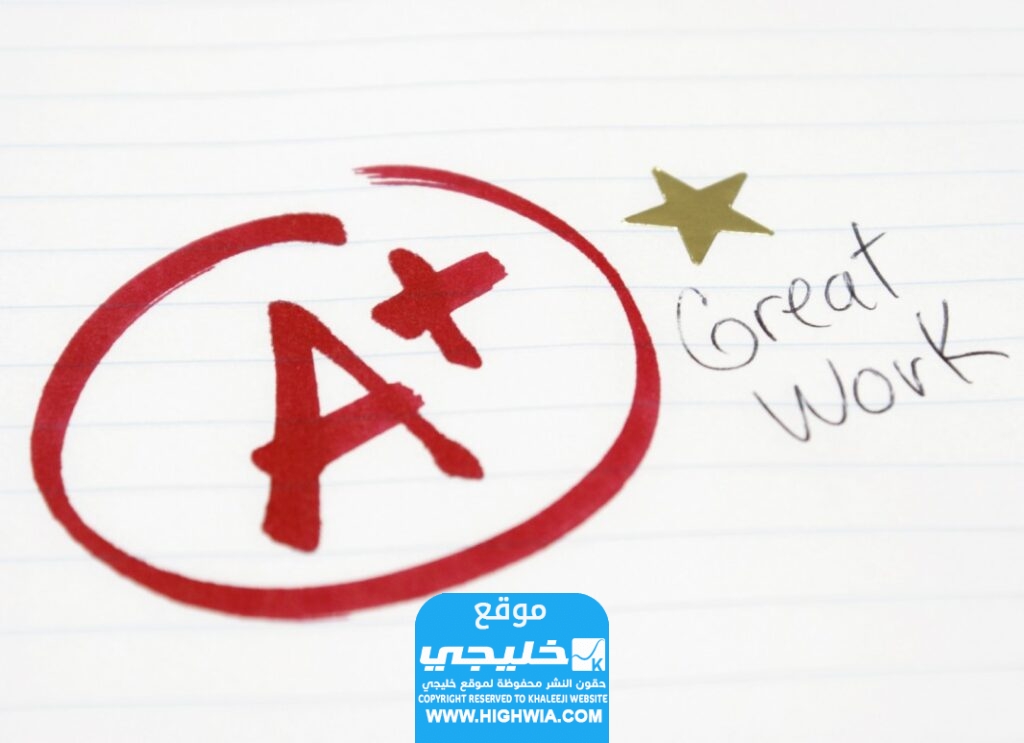 كيفية الاستعلام عن نتائج اختبار الرخصة المهنية
