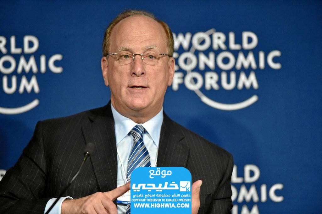 لاري فينك وتطور استراتيجيات الاستثمار الاقتصادي