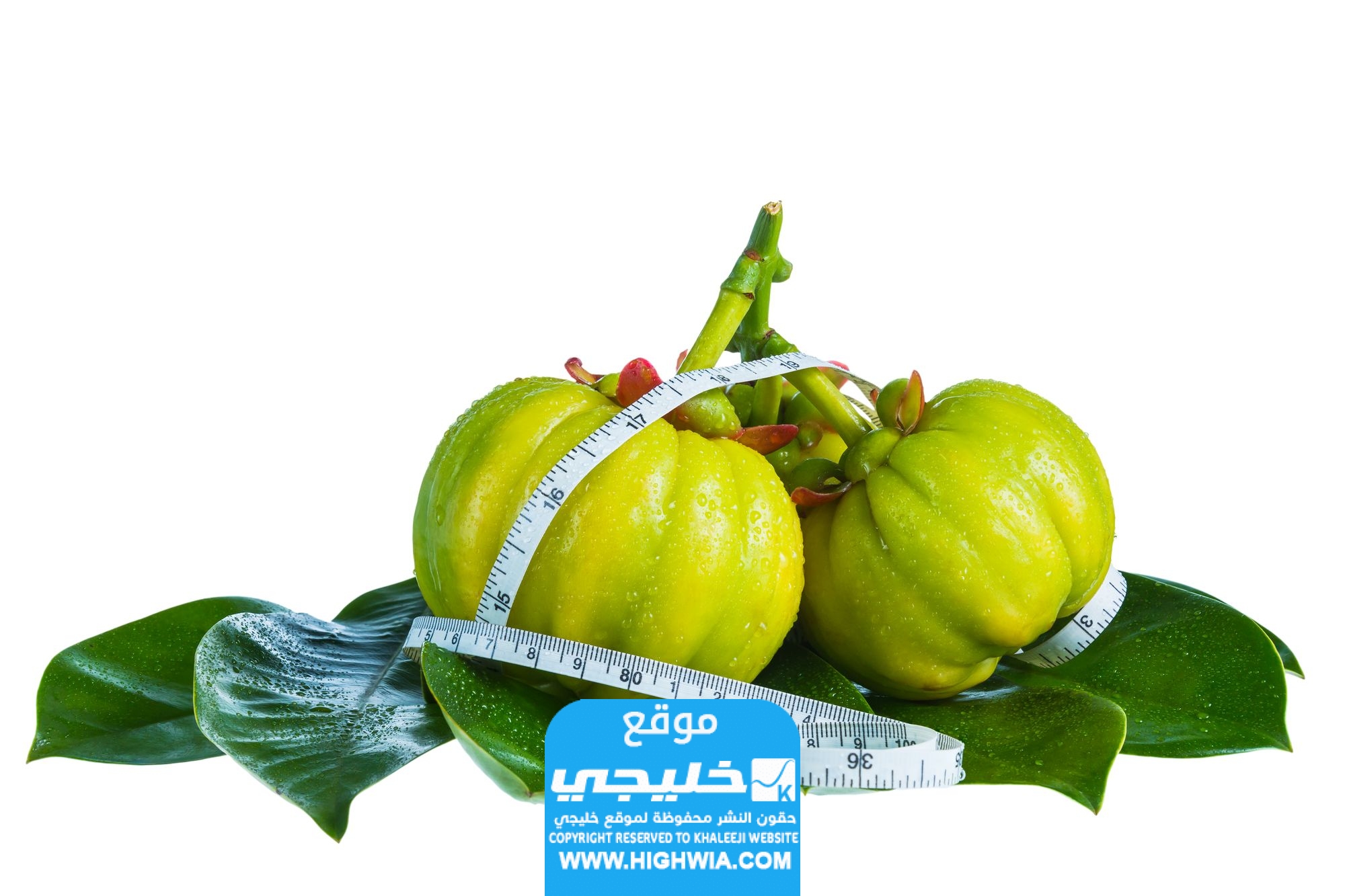 متى يبدأ مفعول حبوب جارسينيا كامبوجيا