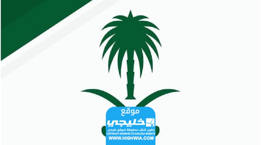 كيفية تعديل اسم السجل التجاري الكترونيا