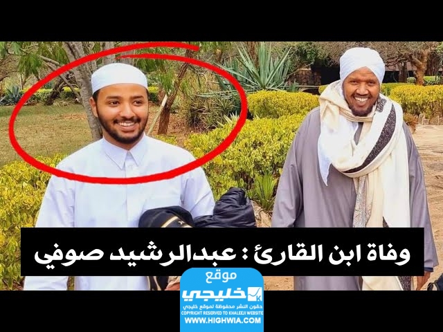 عبدالحميد عبدالرشيد الصوفي السيرة الذاتية