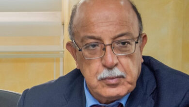 لطفي ذياب