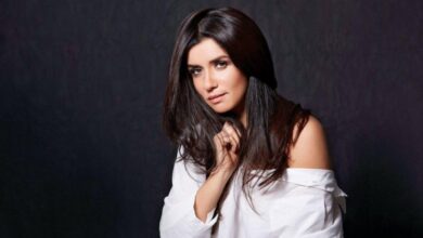 من هي غادة عادل في مسلسل حالة خاصة؟