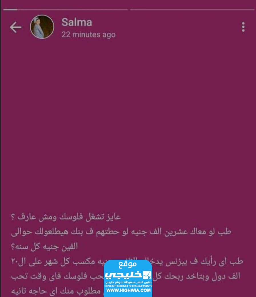 اعتقال البلوجر سلمى الغزولي بتهمة النصب