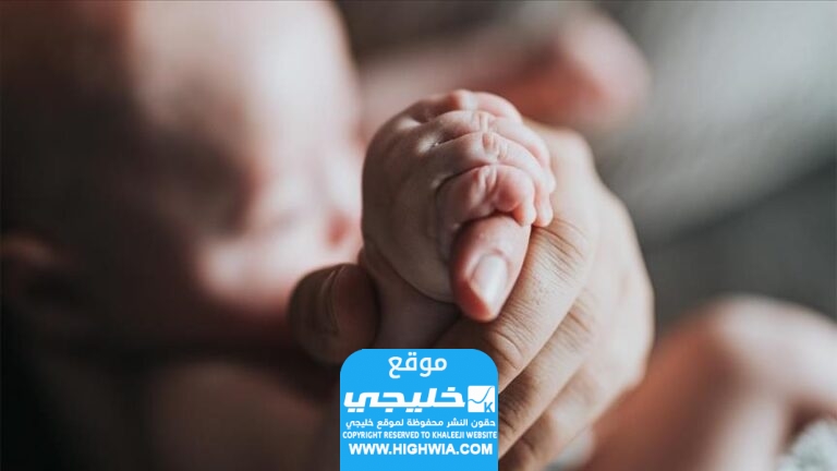 كيفية الحصول على رقم وطني اردني للمواليد الجدد في الكويت 2024