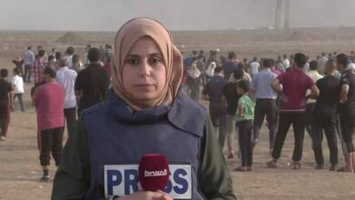 من هي آلاء الهمص ويكيبيديا؛ إليك أهم المعلومات عن مراسلة الجزيرة