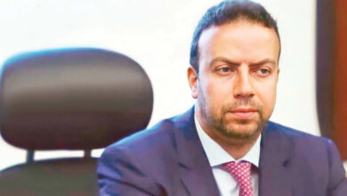 رامي أبو النجا ويكيبيديا