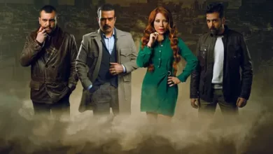 مسلسل ولاد بديعة قصة عشق