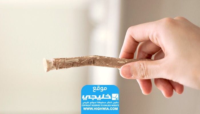 هل يجوز السواك في رمضان ابن باز