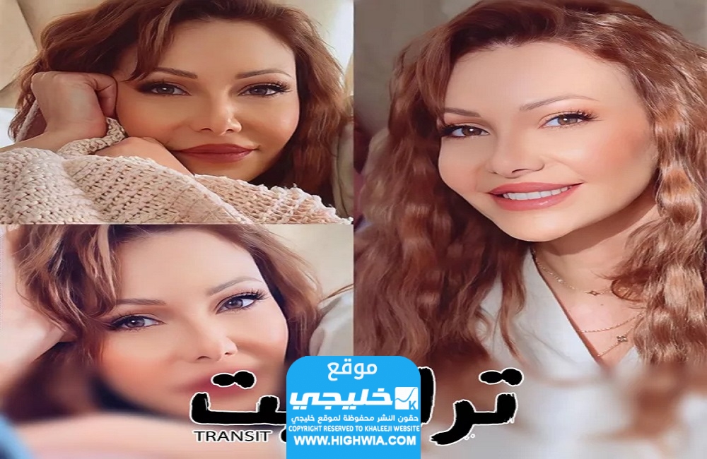 عدد حلقات مسلسل ترانزيت