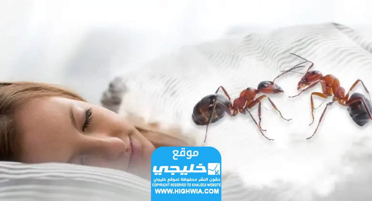 تفسير رؤية النمل في المنام لابن سيرين