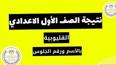 رسميا.. رابط نتائج الصف الاول الاعدادي محافظه القليوبيه 2024 الفصل الثانى eduserv.cairo.gov.eg