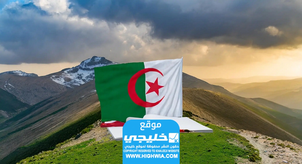 موعد الإعلان عن نتائج شهادة التعليم المتوسط لعام 2024 في الجزائر