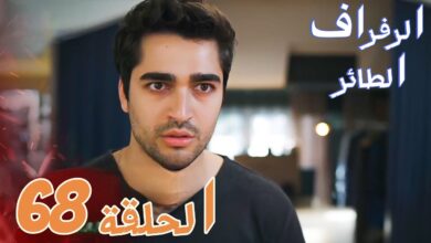 مشاهدة مسلسل طائر الرفراف الحلقة 68 مترجمة "قصة عشق + ماي سيما"
