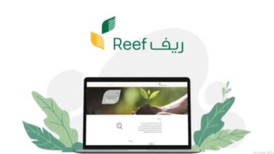 رسميا.. موعد صرف دعم ريف عن شهر يونيو حزيران 2024