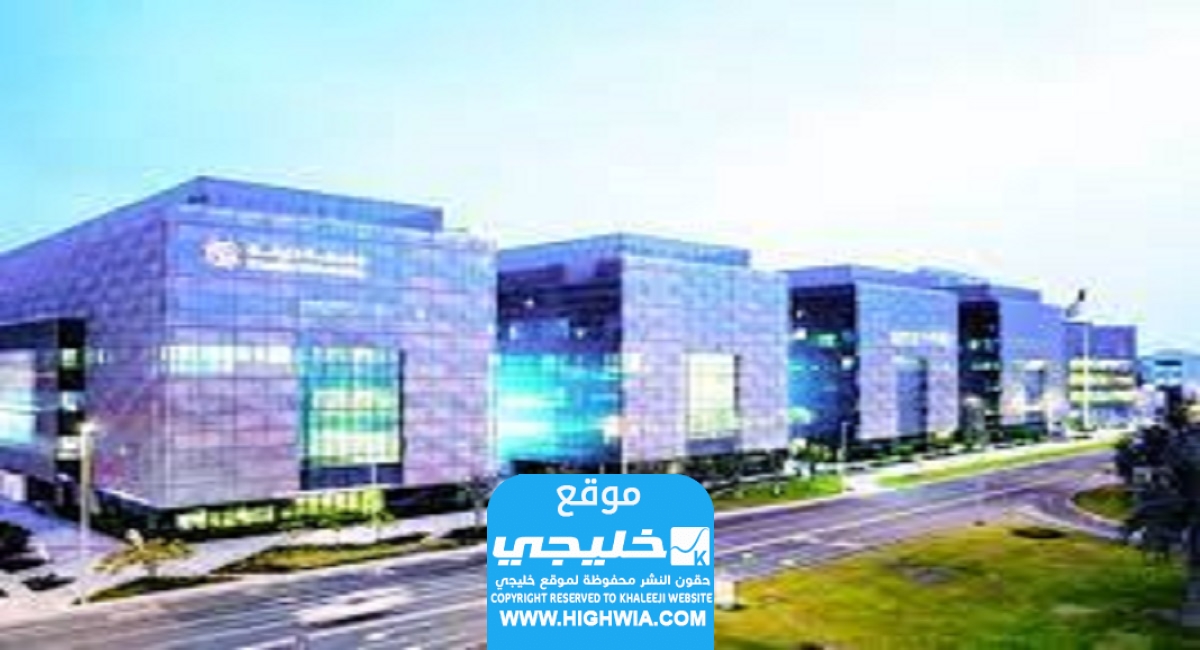 تخصصات جامعة خليفة ابوظبي