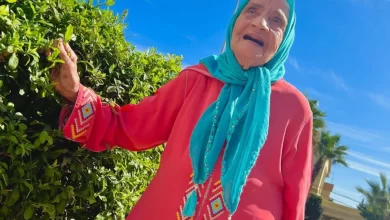 من هي مي سعدية مشهورة التيك توك