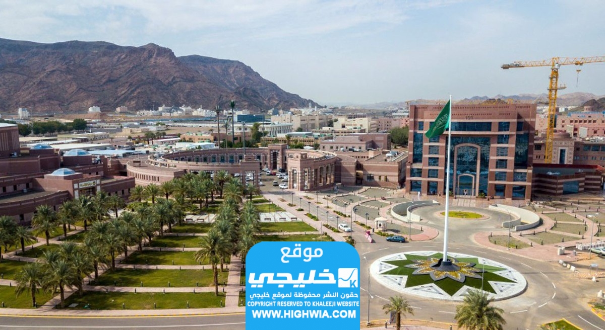 الترشيح للقبول في البكالوريوس والدبلوم جامعة طيبة 1446