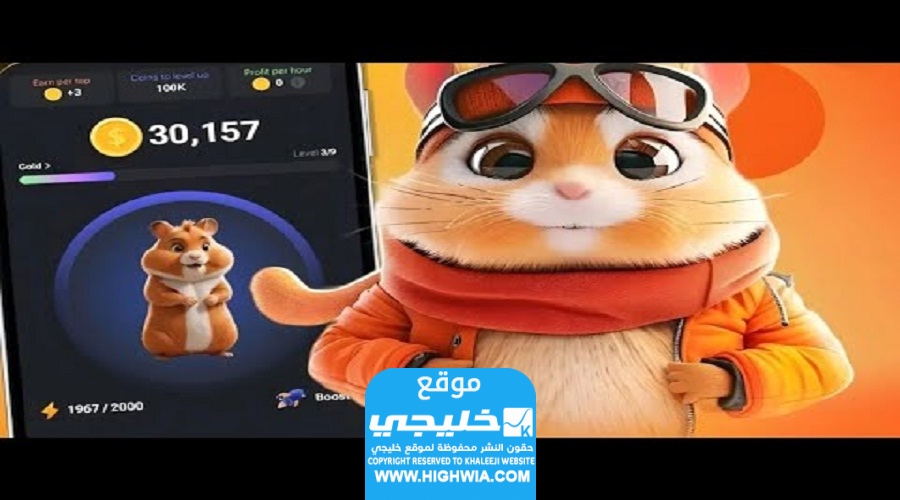 كيفية سحب الأموال من بوت الهامستر