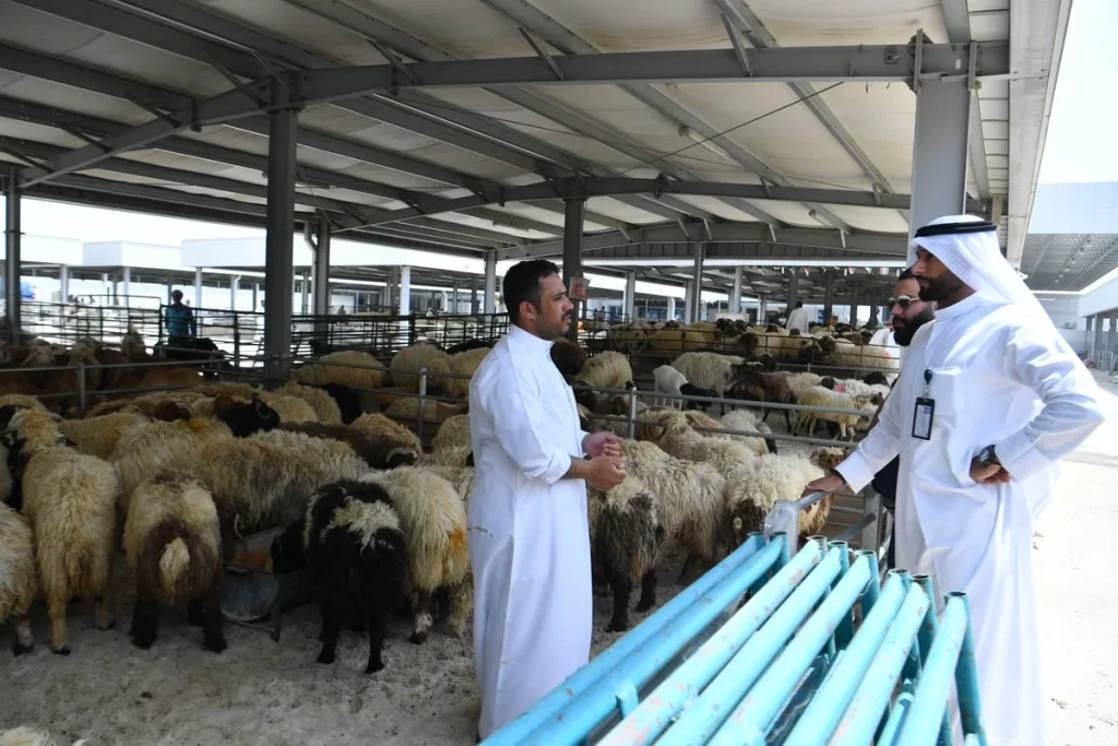 أماكن بيع الأضاحي في الإمارات