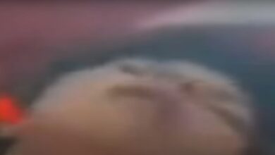 فضيحة فيديو جيجي محمد وسيف