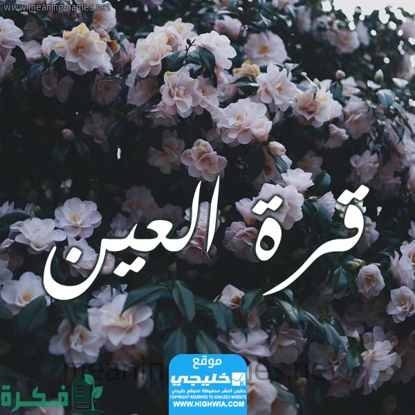 الرد على قرة عينك بوجه نبيك