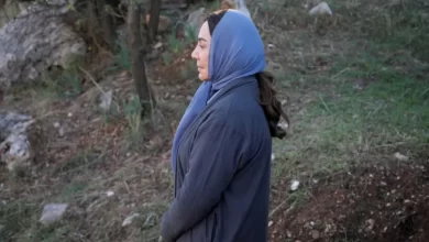 مسلسل البيت الملعون كم حلقة