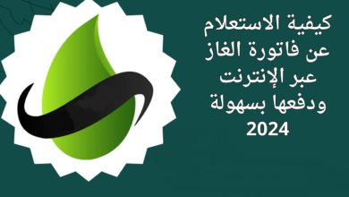 كيفية الاستعلام عن فاتورة الغاز في مصر 2024