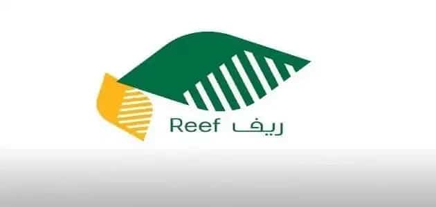 الاستعلام عن دعم الريف لشهر نوفمبر 2024